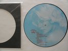 KENNY DINO -LOVE SONGS FOR SEKA PICTURE DISC 1980  RARE 12