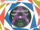 PAUL McCARTNEY DEMO *ALL MY TRIALS/ C MOON* 1990