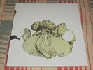 COIL-Ape of Naples / The New Backwards LP BOX SET RARE