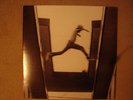 Mos Def The Ecstatic lp RARE