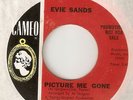 NORTHERN SOUL EVIE SANDS PICTURE ME GONE / IT MAKES ME LAUGH RARE PROMO  45 hear