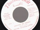 WAYNE ETHICS SMITH - DRIVIN ME CRAZY, RARE & HEAVY DIGI  listen