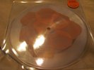 karen elson 2011 RSD Vicious rose petal vinyl
