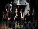 WITCHCRAFT Firewood LP Reissue + bonus 7 in Clear lim 100 ELECTRIC WIZARD sunn