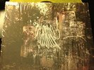 La Dispute Wildlife 2x12
