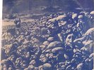 Grateful Dead: Live - Entire 1 3/4 Hour Concert USA Double Album Stereo