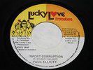 Paul Elliott Import Corruption 7