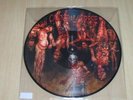 CANNIBAL CORPSE  TORTURE  PICTURE  LP  ULTRA RAR 