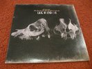 Raconteurs Live in London LP Dead Weather White Stripes Vault 2 Third Man