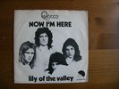 Queen Now I'm here Holland  Pic Sleeve near Mint 1974
