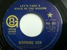 MORNING SUN Let's Take A Walk In The Woods GARAGE PSYCH 45