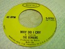 THE REMAINS WHY DO I CRY GARAGE ROCK RARE MOD NOS