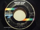 LITTLE HANK, NORTHERN SOUL PROMO 45, MR. BANG BANG MAN, SOUND STAGE, 1966