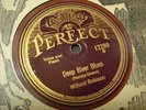 WILLARD ROBISON Deep River Blues PERFECT 12280