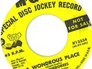 Killer Mod Beat Garage 45 The Cherokees Wondrous Place 1965 Dancer Hear