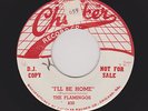 Classic '55 Doowop FLAMINGOS I'll Be Home Nice M- CHECKER Promo HEAR & LOOK NOW