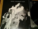 Hole - Celebrity Skin - Vinyl LP - Courtney Love - Nirvana. GEFFEN Grunge
