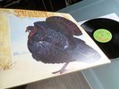 Jethro Tull/ Wild Turkey    - Turkey -  TOP ZUSTAND
