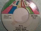 JENNY ROCK 