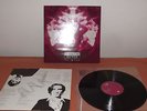 Marlene Kuntz ?Il Vile Vinile LP AUTOGRAFATO dai 4 membri originali