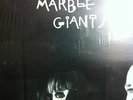 Young Marble Giants - Colossal Youth - LP