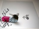 RED HOT CHILI PEPPERS I'm with You - VINYL Flea Chad Smith Josh Autograph SIGNED