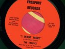 TROPICS   I Want More. 1966 garage band 45 on FREEPORT. HEAR IT