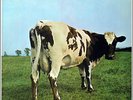 PINK FLOYD - Atom Heart Mother (1970) UK Gatefold Vinyl LP EMI England