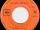 Soul Fantastic's 
