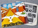 MOVE RARE UK LP MESSAGE FROM THE COUNTRY NEAR MINT