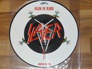 SLAYER  reign in blood  PICTURE LP