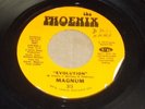 MAGNUM evolution PHOENIX rare original FUNK 45 spiritual progressive LISTEN