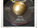 Sonny Day & The Rare Breed Tarzan SOUL GARAGE TITTYSHAKER JUNGLE MOD HEAR 45
