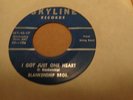 RARE BLUEGRASS 45 THE BLANKENSHIP BROTHERS SKYLINE 106 VG++