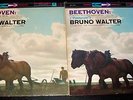 Bruno Walter Beethoven Symphony # 6 Pastorale LP MS 6012 Columbia 6 eye NM
