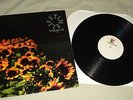 LIFETIME TEST PRESS FOR THEIR FIRST LP BACK GROUND NEW AGE RECORDS 90'S HARDCORE