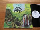 Dr Strangely Strange - Heavy Petting LP - nMINT - Oz VERTIGO SWIRL