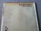 Babyshambles - Down In Albion, DoLp