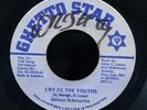 Delton Screechie - Cry Fe The Youths JA orig 7