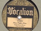 Vocalion 15032 Uncle Dave Macon RUN NIG---- RUN 1925