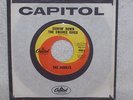 The Honeys-Surfin' Down The Swanee River-Capitol 1963-Beach Boys-Brian Wilson