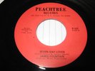 SEVEN DAY LOVER - JAMES FOUNTAIN - PEACHTREE