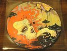 MELVINS HAMMERHEAD CAMILLE ROSE GARCIA Split 7