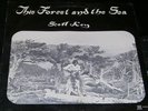 SCOTT KEY This Forest and the Sea  LP RARE PRIVATE FOLK PSYCH ACID ARCHIVES