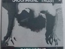 SACCHARINE TRUST Paginicons LP SST 006 Factory Sealed RARE