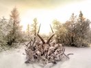 SOUNDGARDEN-KING ANIMAL 2LP LIMITED EDITION VINYL NEW (2012)