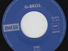 G-BROS * 1967 Dutch Doomy PSYCH FREAKBEAT 45 * Listen