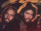 Bee Gees Spirits Having Flown Nautilus Half Speed Mastered NR 17 LP Near Mint