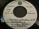 TEST PRESSING 45 by the WATERBOYS THE WHOLE OF THE MOON MIKE SCOTT RARE