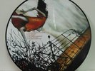 CIRCA SURVIVE JUTURNA PICTURE DISC VINYL LP NM